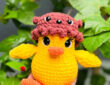 Canard avec Chapeau d’ours Amigurumi Modèle Gratuit (1)