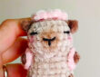Capybara volant au Crochet Modèle étape par étape (1)