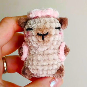 Capybara volant au Crochet Modèle étape par étape (1)