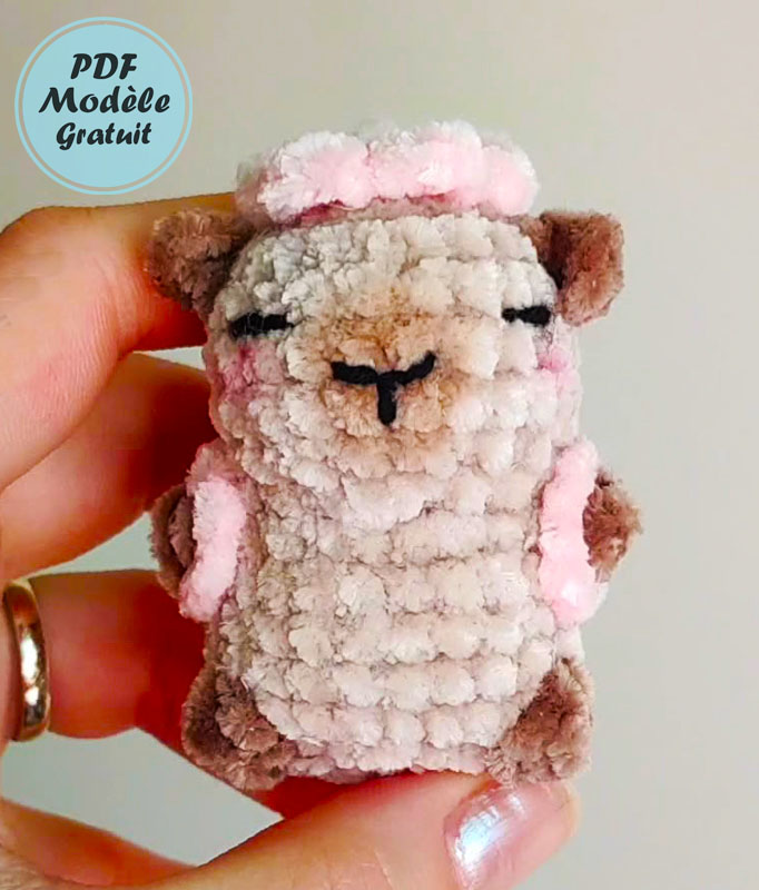 Capybara volant au Crochet Modèle étape par étape (2)