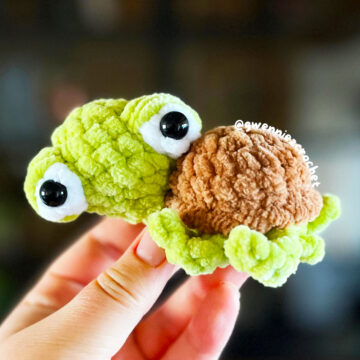 Modèle de Tortue Derpy Sans Couture au Crochet (1)