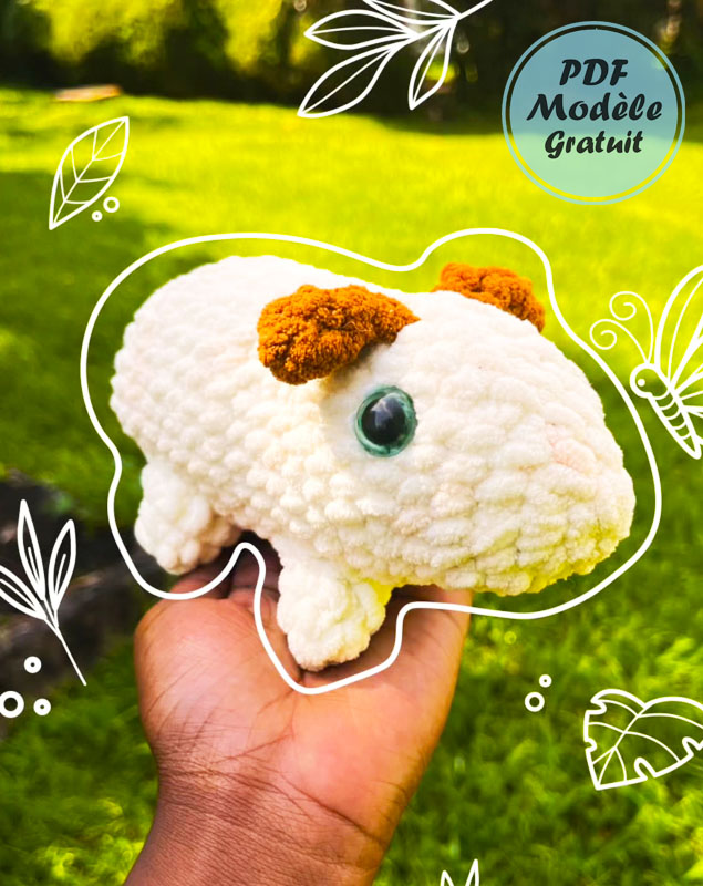 Modèle de Crochet de Cochon d'inde pour Débutants (2)