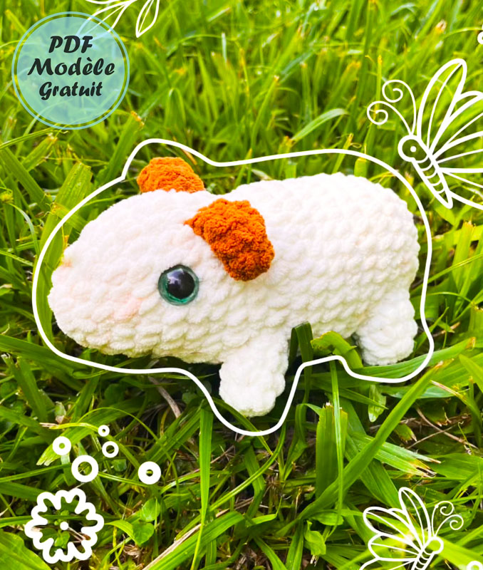 Modèle de Crochet de Cochon d'inde pour Débutants (3)